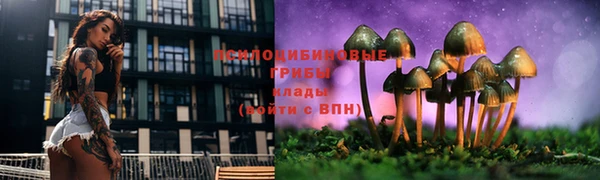 ешки Каменка