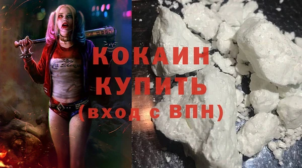мдпв Каменногорск