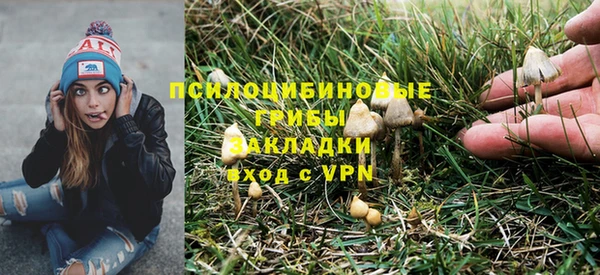 мдпв Каменногорск