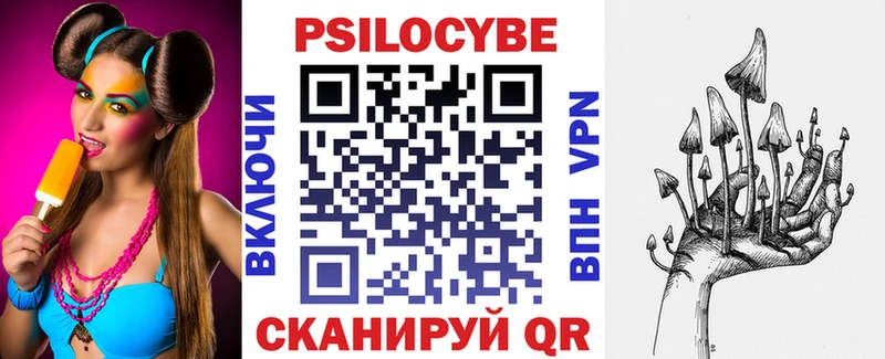 купить наркоту  Куртамыш  Псилоцибиновые грибы прущие грибы 